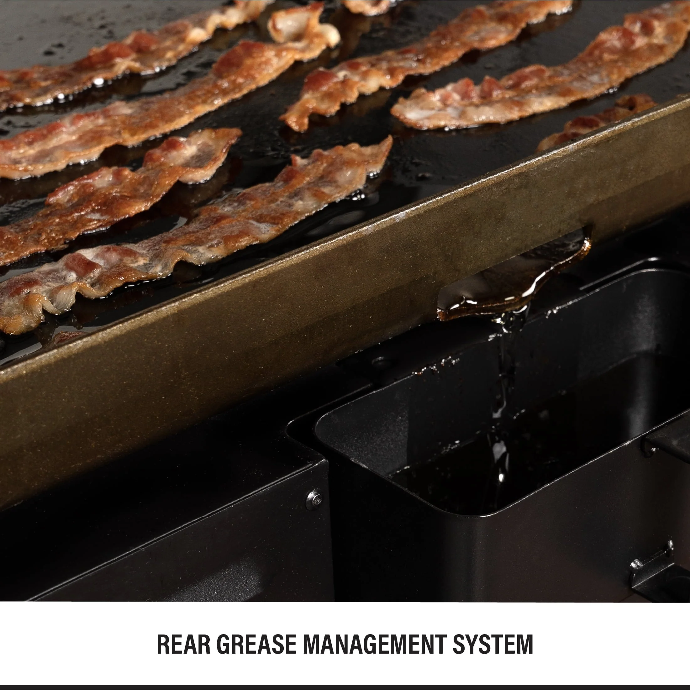 Blackstone 2-Burner 28